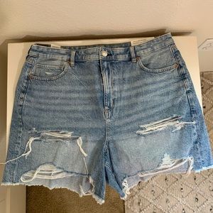 American Eagle Baggy Mom Short
